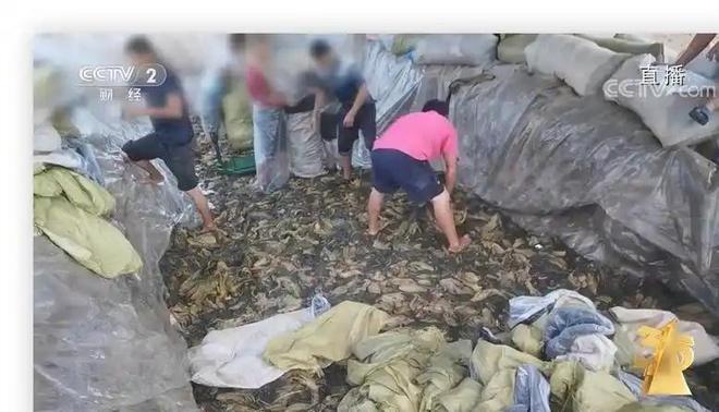 标准是国外刻意抹黑还是我们产品确实不堪pg电子免费模拟器不含中国原料成安全(图4)