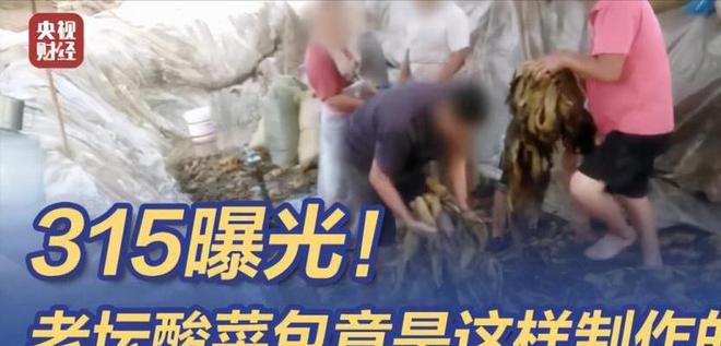 标准是国外刻意抹黑还是我们产品确实不堪pg电子免费模拟器不含中国原料成安全(图12)