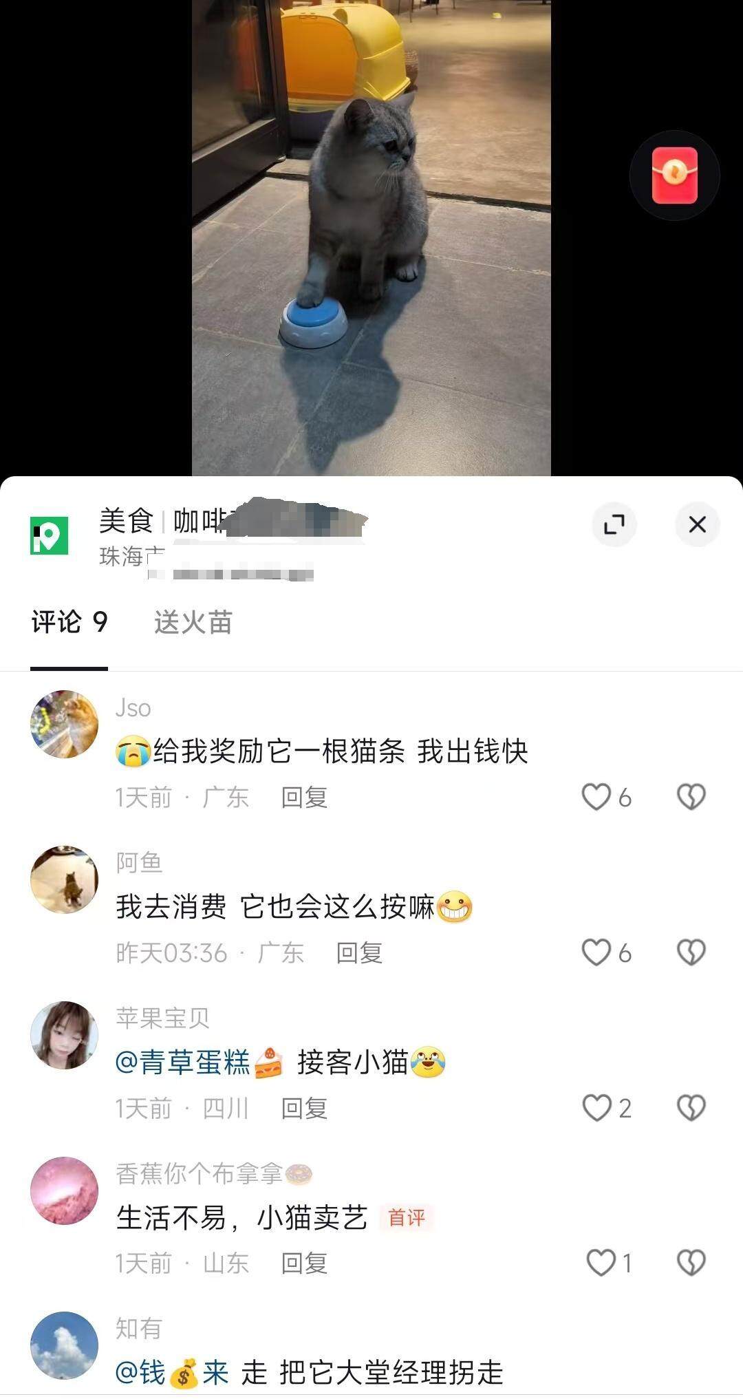 广东一咖啡店“迎宾猫”火了pg电子试玩会按铃招揽顾客(图3)