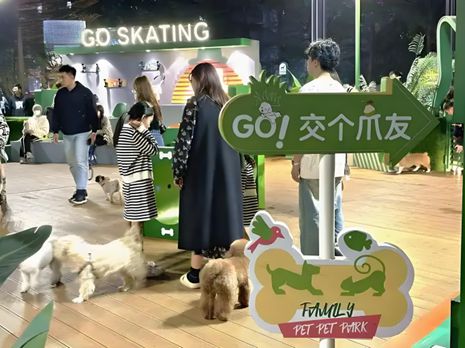 鲜生丨宠物坐高铁侯毅下厨房pg电子试玩入口实探派特(图2)