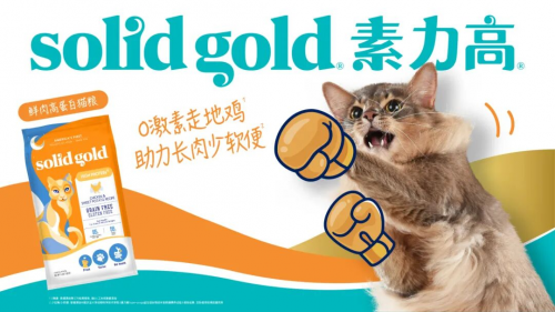 ld素力高联动多方公益助推生态与宠物保护